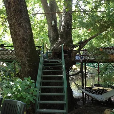 מלון Yoeruek Park Pansiyon 3*