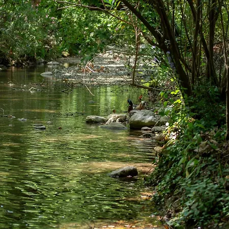 מלון Yoeruek Park Pansiyon