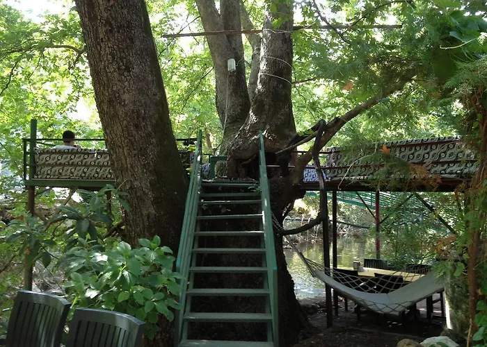 Gasthuis Yoruk Park 3*