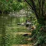 招待所 Yoruk Park