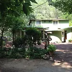 Yoruk Park 凯梅尔