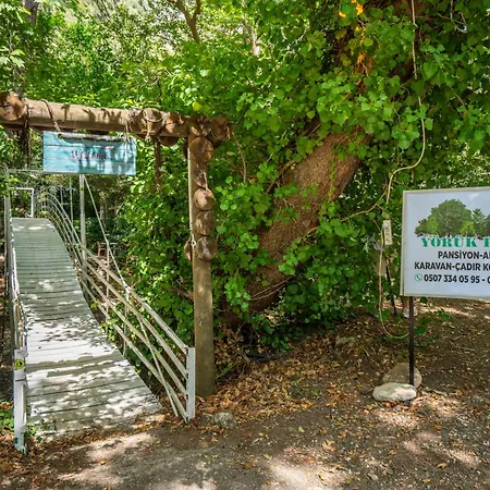 Yörük Park Pansiyon & Restaurant - Çıralı Hotel Kemer