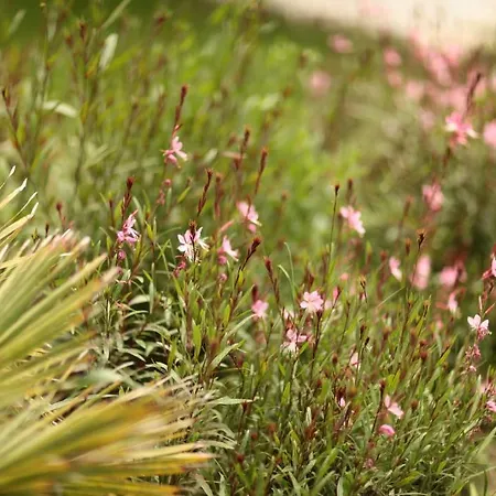 Ξενοδοχείο Yoeruek Park 3*