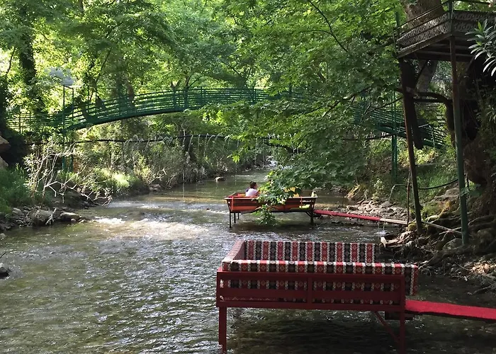 Yoruk Park