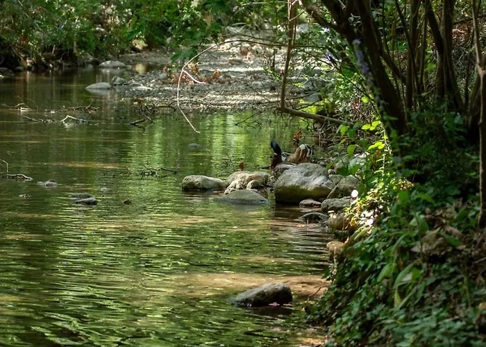 Affittacamere Yoruk Park