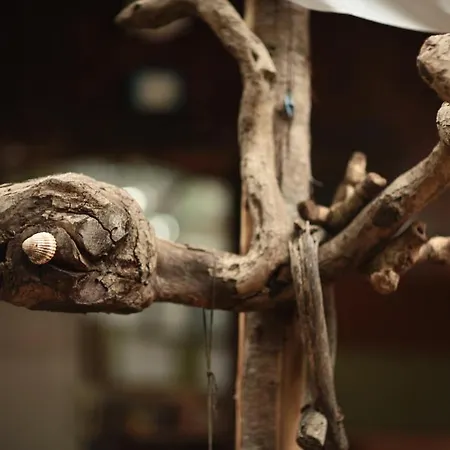 Yörük Park Otel 3*